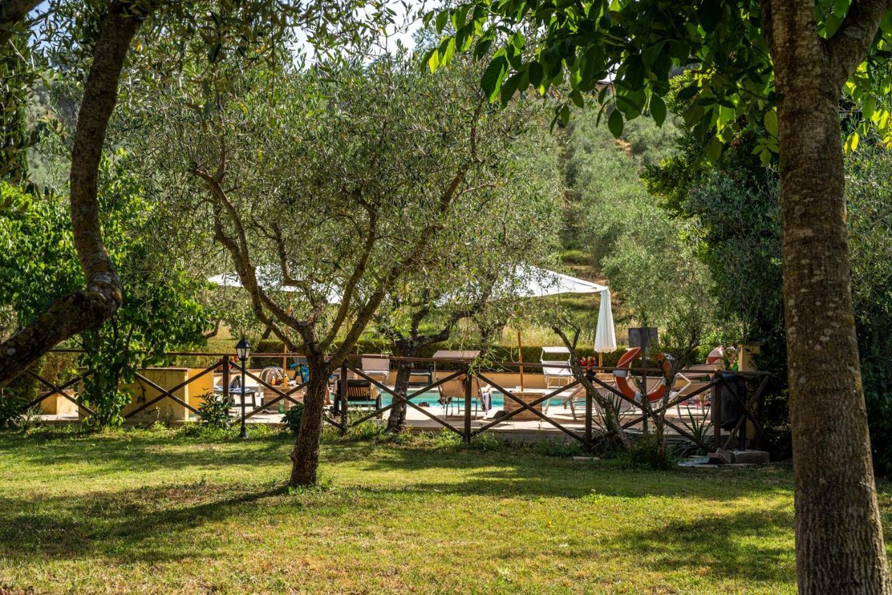 Agriturismo La Fonte 베바냐 외부 사진