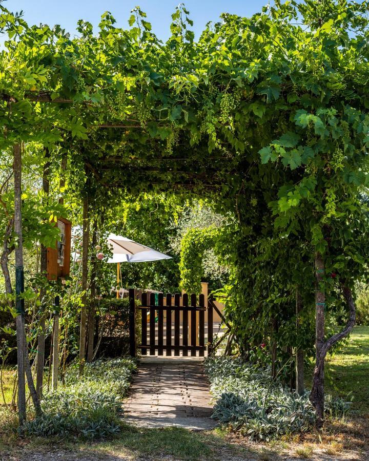 Agriturismo La Fonte 베바냐 외부 사진