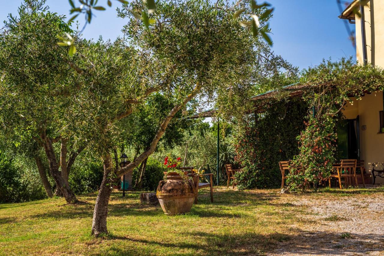 Agriturismo La Fonte 베바냐 외부 사진